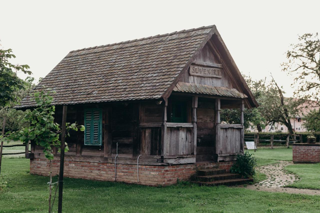 Holy Apartment จาโกโว ภายนอก รูปภาพ